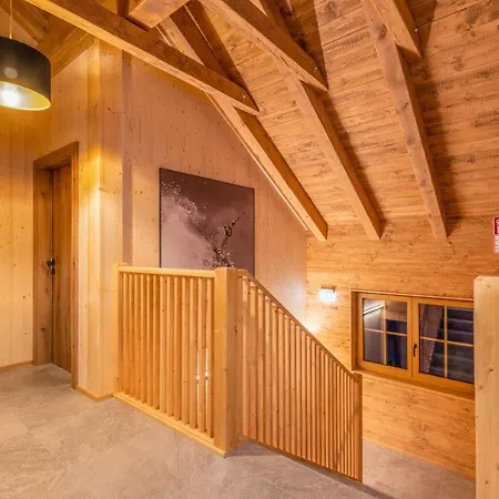 Poolchalet Dachsteinblick *