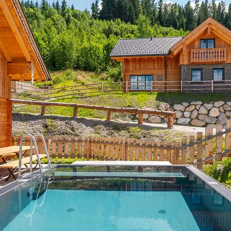 Poolchalet Dachsteinblick *