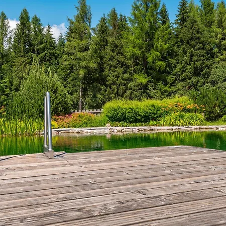 Poolchalet Dachsteinblick Pruggern