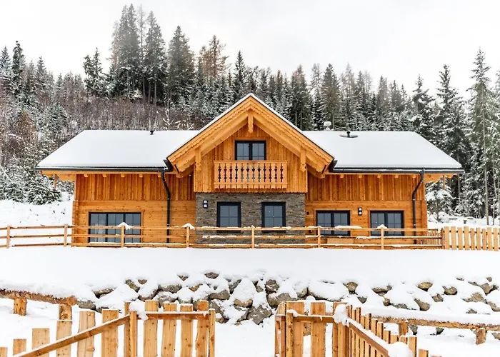 Poolchalet Dachsteinblick シャレー プルークガーン