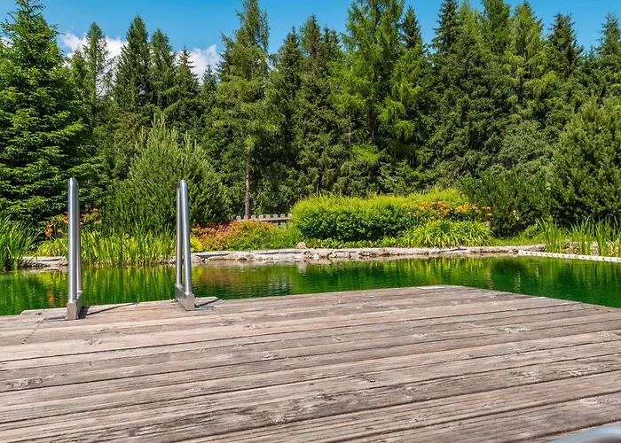 Poolchalet Dachsteinblick بروغيرن