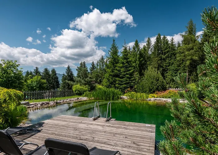 شاليه Poolchalet Dachsteinblick *